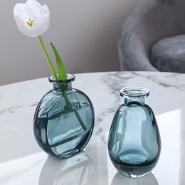 Transparent Glass Vase Home Small Hydroponic Plant Glass Bottle Living Room Decoration Dried Flower Home Decoration Flower Vases 210310