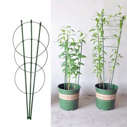 Climbing Vine Rack Plant Potted Support Frame Plastic Coated Steel Flower Vegetables Decorative Trellis Bracket 1Pc