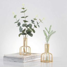 Transparent Hydroponic Glass Vase Decoration Home Nordic Gold Vase Vases for Flowers Small Terrarium Living Room Decoration Gift 210623