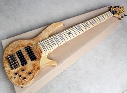 6 Strings Electric Bass Guitar with Golld Hardware,Burl Maple Veneer,Active Circuit,Maple Fretboard