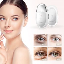 Eye Massager Remove Eye Bags Beauty Device Dark Circles Removal Electric Vibration Warm Beauty Instrument