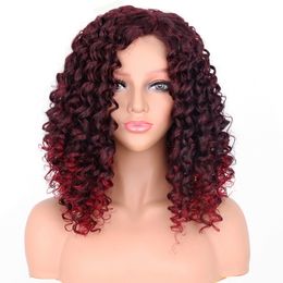 Womens Short Afro Kinky Curly Wigs Ombre Brown Red Synthetic Lace Wig For Black Women and Daily Partfactory direct