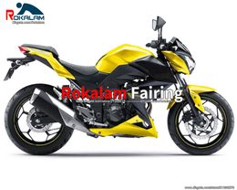 Z250 2015 Body Cover For Kawasaki 2016 Z 250 Z300 Fairings Kit 15 16 Z 300 Motorcycle Fairing (Injection Molding)