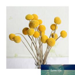 Dried Flowers 30Pcs Dried Craspedia Flowers Billy Button Balls Flowers Fake Silk Yellow Flowe