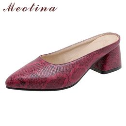 Meotina Women Shoes High Heels Snake Print Mules Pumps Pointed Toe Thick Heel Footwear Lady Summer Fashion Shoes Brown Size 3-12 210608