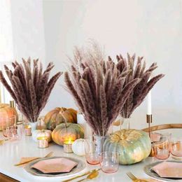 30pcs Dekoration Small Reed Natural Dried Small Pampas Grass Phragmites Artificial Plants Wedding Flower Bunch for Home Decor 210925