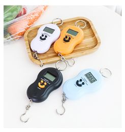 Electronic hoist electronic portable hand luggage mini hanging hook scale express kitchen food shopping fishing travel scale