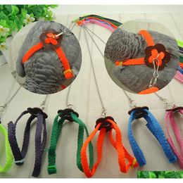 Let's Pet Colorful Parrot Bird Leash Outdoor Adjustable Harness Training Rope F jllhXl mx_home