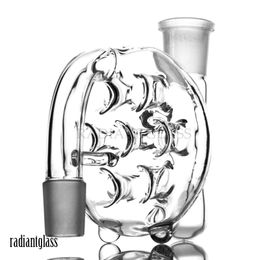 Hookahs Glass ash catcher holes perc 14mm 18mm joint for hookahs Bongs dab rig