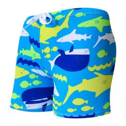 Cool Kid Enfants Garçons Dessin Animé Imprimé belle plage maillot de bain Maillots de Bain Pantalon Short