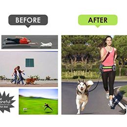 Pet Dog Leash Hands Free Traction Seat Belt Adjustable Traction Leash Outdoor Sports Walking Running Rope HHC4555