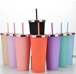 new700ML Straw Mugs With Lid Colour Change Coffee Cups Plastic Tumbler Matte Finish Reusable Water Bottle sea shippingEWE5546