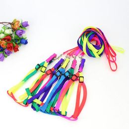 Dog Collars & Leashes Colour Harness Strap Collar With 1.2m Pull Pet Chest Supplies Necklace Leash