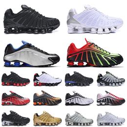 tl running shoes black white Silver Platinum Chrome R4 Racer Blue USA mens outdoor trainer