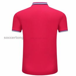 #T2022000769 Polo 2021 2022 High Quality Quick Drying T-shirt Can BE Customized With Printed Number Name And Soccer Pattern CM