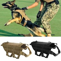 Abbigliamento per cani Abbigliamento da caccia all'aperto Costume in nylon Imbracatura da addestramento Gilet Tattico