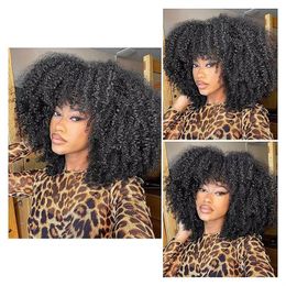Afro Kinky Curly Synthetic Wig Simulation Human Hair Soft Wigs For Black Women RXG9212