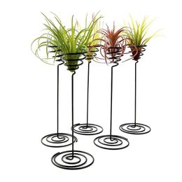 Kitchen Storage & Organization Creative Black Iron Air Pineapple Base Plant Flower Pot Rack Holder Home Balcony Garden Decor Supplies Landsc