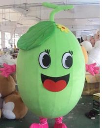 Stage Performance green melon Mascot Costume Halloween Christmas Fancy Party Dress Cartoon Character Suit Carnival Unisex Adults Outfit