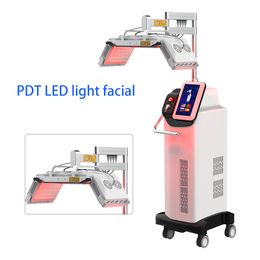 Vertical Phototherapy PDT machine 6 Colour lights led photon therapy facial mask for anti-aging face skin rejuvenation 2 years warranty