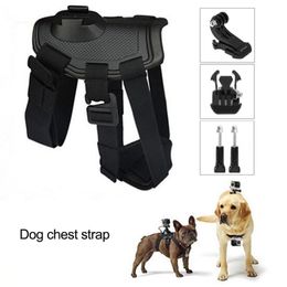 Dog Collars & Leashes Leash For 5 Piece Set Chest Strap Hero 4/3+/3/2/1 And Back Dual Purpose Harness