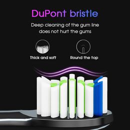 Oral Irrigators 5 Modes Wireless Base IPX7 Waterproof Black Oral Care Sonic Electric Toothbrush Soft Bristles With Replacement Head