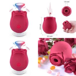 Nxy Sex Toy Vibrators Tracy Female Vaginal Vibration Absorber Pink Rechargeable Magnetic Silicon Clitoris Vibrator Inventory 1218