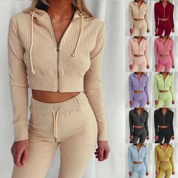 2 Pieces Set Spring Women Sports Suit Zipper Hooded Crop Tops And Pants Solid Knitted Sportswear Casual Suits Women Clothing Set 210527