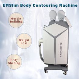 Electromagnetic Muscles Stimulate Ems Slim Body Sculpting Machine Fat Removal 2 Years Warranty