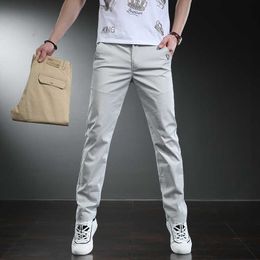 Spring Summer Men Straight Thin Casual Pants High Quality Business Classic Stretch Fashion Trousers Male Brand Clothes 210531