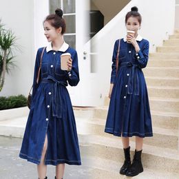 One Piece Jeans Dress Online Shopping 