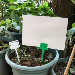 Buy Nursery Plant Labels Online Shopping at DHgate.com