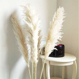 85-120cm Pampas Grass Large Natural White Dried Flowers Bouquet Fluffy for Boho Vintage Style Home Wedding Decor 211023