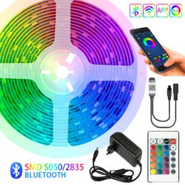 Strips Light Bluetooth TV Iuces RGB SMD 2835 Waterproof Flexible Lamp Tape Ribbon Diode Backlight DC 12V 5M 10M 15M 20MLED LEDLED LED