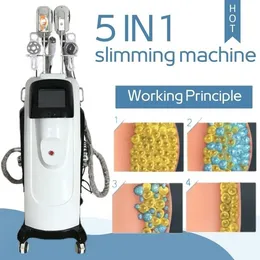 Professional Cryolipolysis Slimming Machine Fat Freezing Machine 40K Ultrasonic Cavitation Lipo Laser Rf Skin Tightening