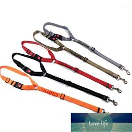 Nylon Pet Car Safety Traction Rope Dual-Purpose Retractable Buffer Traction Belt Pet Dog Cat Adjustable Safety Belt1