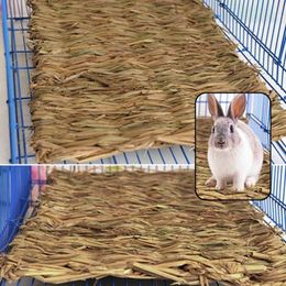 Small Animal Supplies Grass Chew Mat Hamster Guinea Pig Cage Bed House Pad