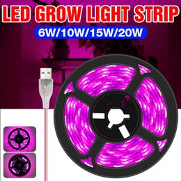 3M Full Spectrum LED Phyto Lamps USB Plants Strip Light 5V Grow Lights For Indoor Greenhouse Hydroponic Plant Seeding Flower