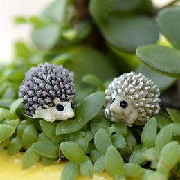 Cute Mini Resin Hedgehog Micro Landscape Miniature Fairy Animal Moss bottle Succulent plants pot decoration ecological props resin craft DH8585