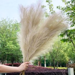Decorative Flowers & Wreaths 1Pcs 120cm Artificial Reed Flower Bouquet Plume Pampas Grass Dried For Home Room Decor Wedding Birthday Party S