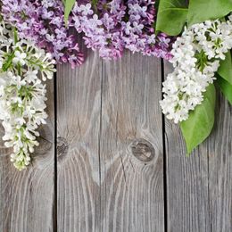 Party Decoration White And Purple Hyacinth Plank Backdrop Self Portrait Wedding Born Baby Pography Backgrounds Po Booth Studio Prop