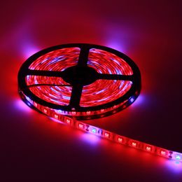 flexible led rope lights Australia - Plant Grow Light LED Strip Lights Indoor Growing Lamp Waterproof Flexible Soft Rope with 12V for Greenhouse Hydroponics Flower Seeds crestech168