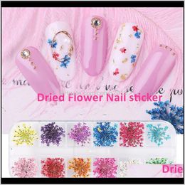 3D Dried Flower Nail Sticker Natural Floral Nail Art Decals Mixed Dry Flower Leaf Diy Nail Decoration Jewelry Uv Gel Polish Manicure O Vlfx9