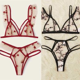 Sexy Lingerie Erotic Bra Briefs Lace Underwear For Women Plus Size Lenceria Sexi Transparent Bras Set