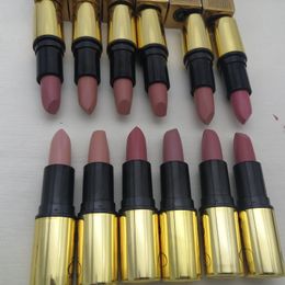 60pcs Matte Retro Lipstick Makeup Lustre Brand 12 Colours Aluminium Tube High Quality Chilli LADY DANGER Drop