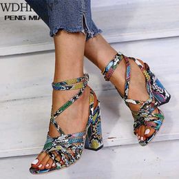 Gladiator Sandals Woman Summer Vintage Snakeskin Women Lace ladies Shoes Peep Open Toe Sandals Pumps Sexy Plus Shoes Size 34-43 Y0721