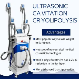 Professional criolipolisis fat freeze body slimming machine 4 cryo handles fat removal standing equipment home salon use CE