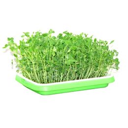 Planters & Pots 1pc Hydroponic Seedling Tray Double Layer Disc Growing Vegetables On Paper PP Sprouts Planting 34*25*4CM