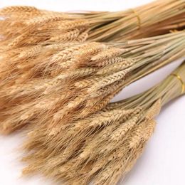 Natural Dry Ears Of Wheat For Home Decorative Flowers 60cm Dried Wheats Sheaves Flower Bouquet