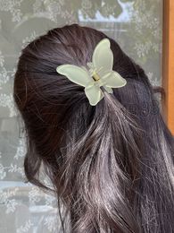 Translucent Butterfly Hairpin Girl Sweet Headwear Horsetail Claw Clip Candy Color Crab Clip New Year Hair Accessory